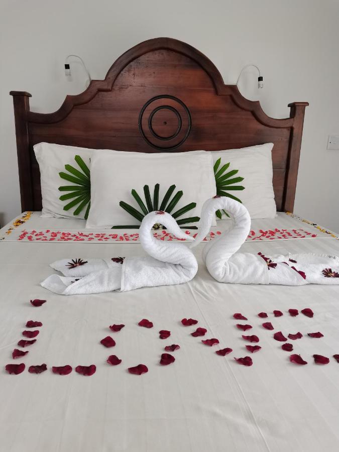 Nebula Residence Negombo Eksteriør bilde