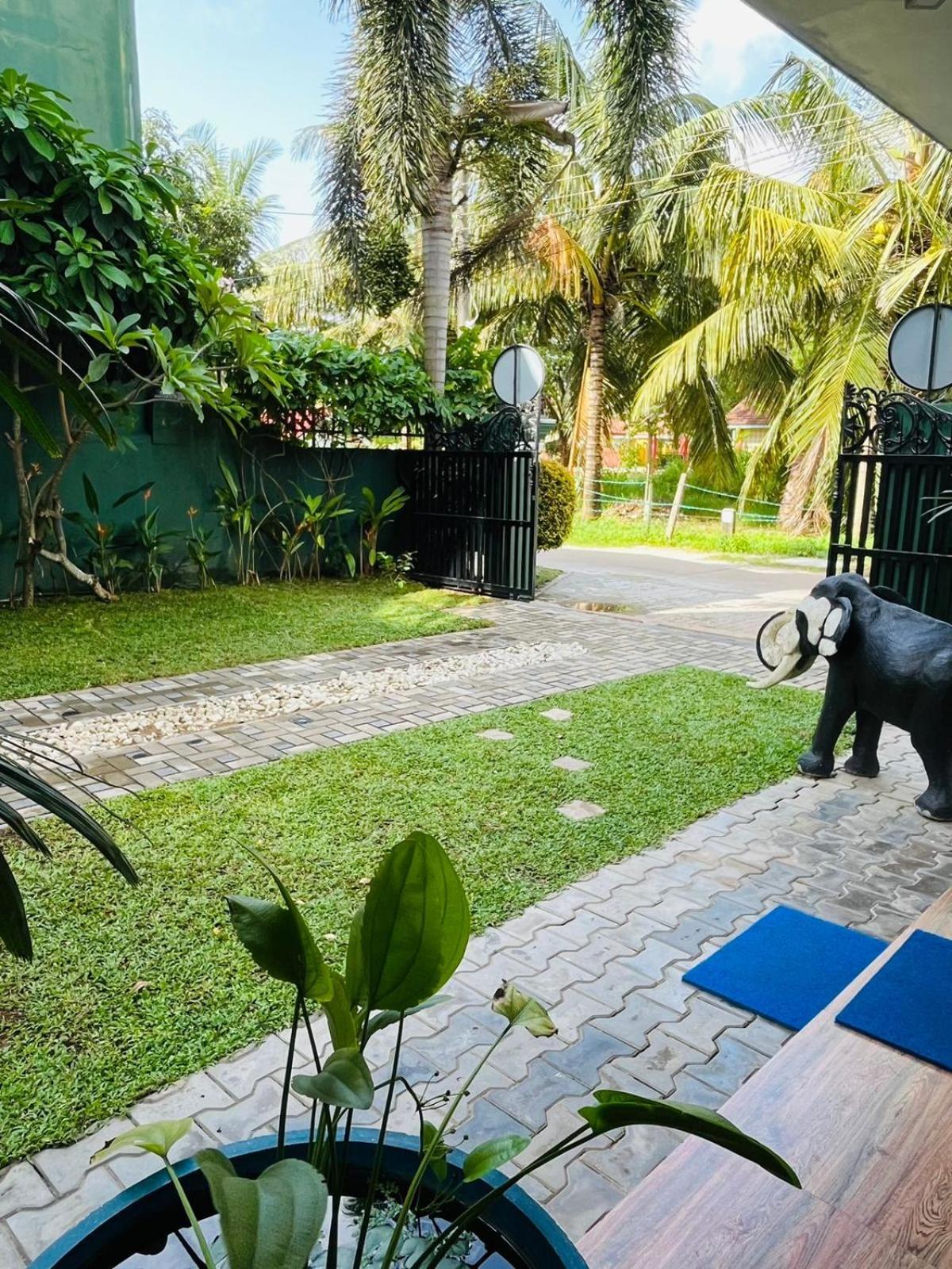 Nebula Residence Negombo Eksteriør bilde