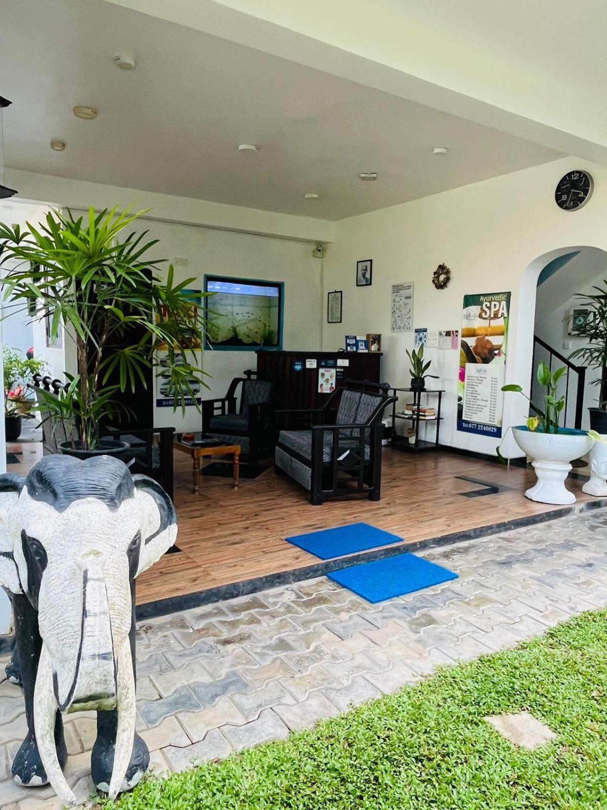 Nebula Residence Negombo Eksteriør bilde